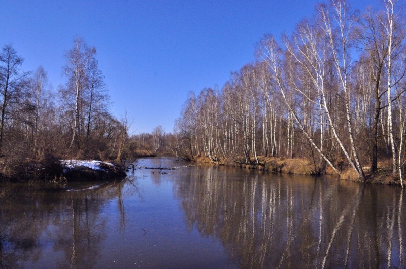CSC_0080.JPG