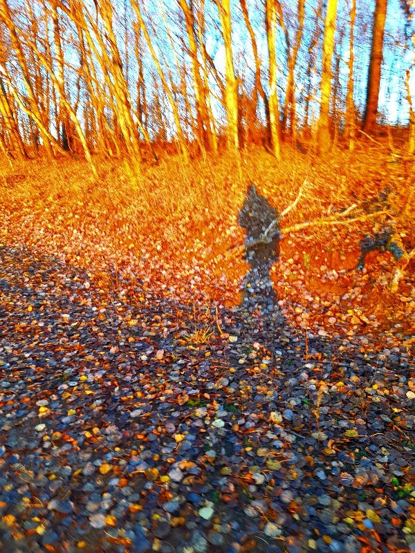 20221031_081600.jpg