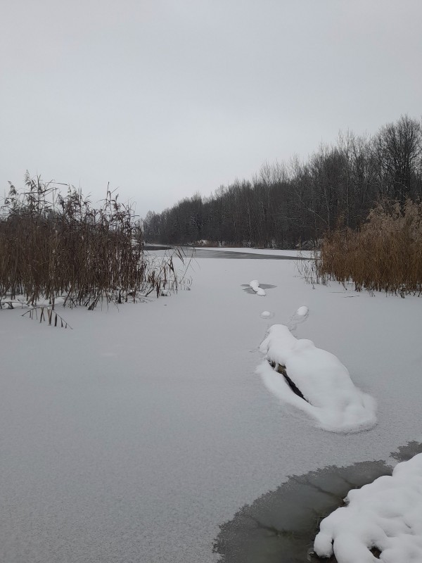 20221124_112141.jpg