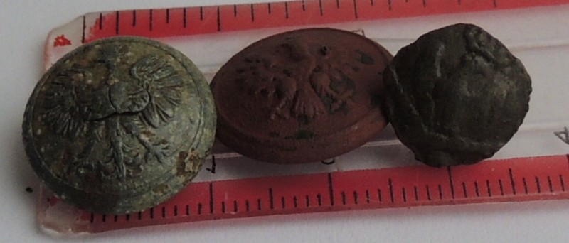 RSCN7858.JPG