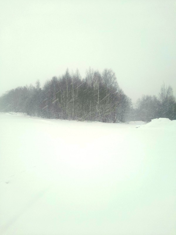 20221211_093540.jpg