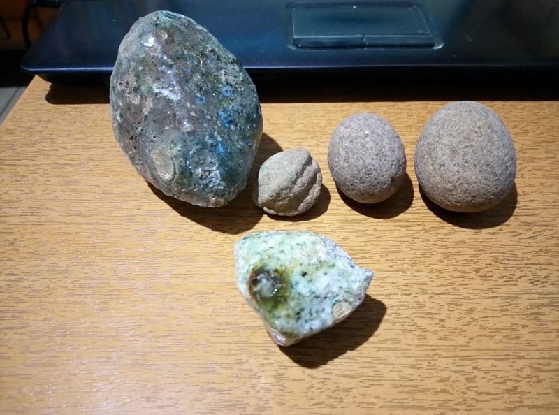 DSC_1198.JPG