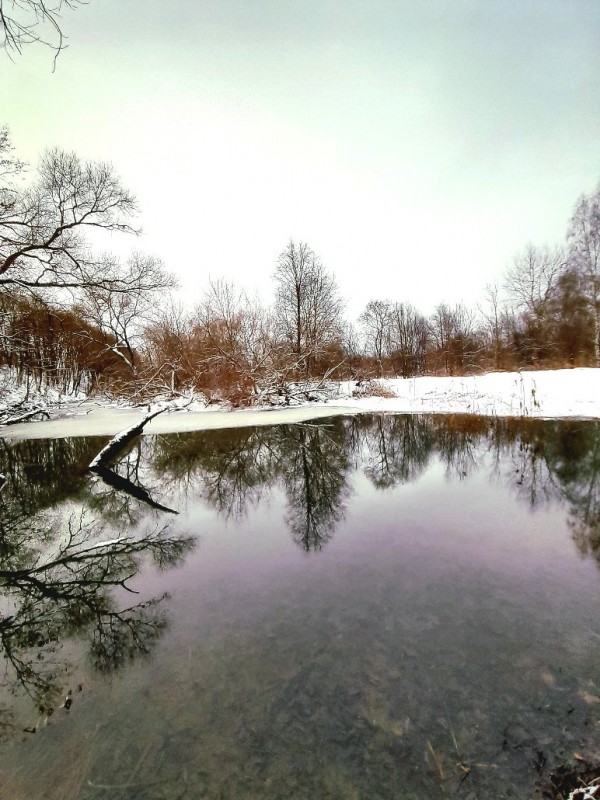 20230129_100500.jpg