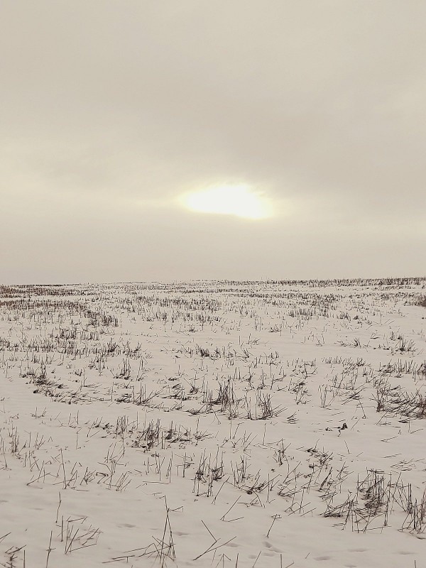 20230129_105921.jpg