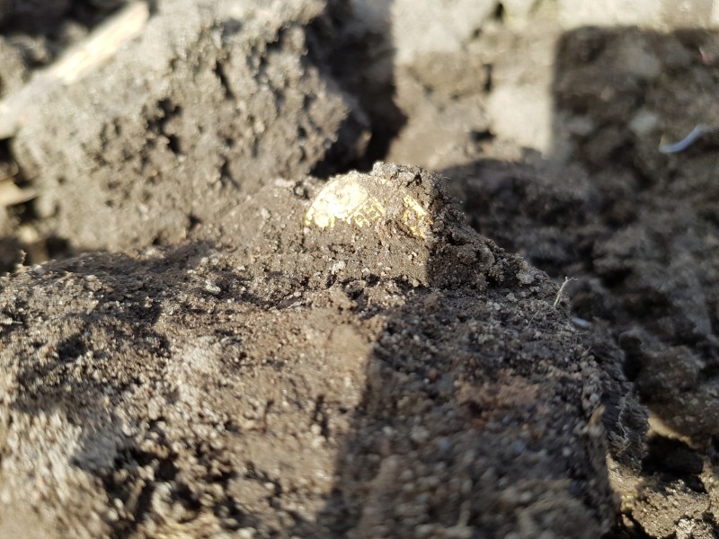 20190324_132444.jpg