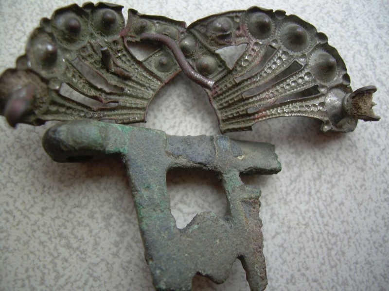 DSCN2414.JPG