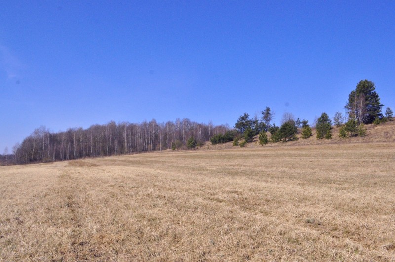 CSC_0102.JPG