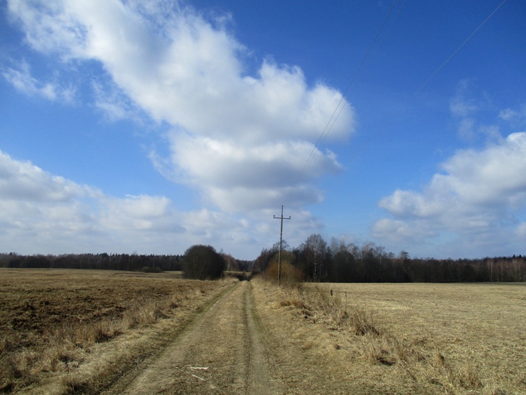 IMG_2306.JPG