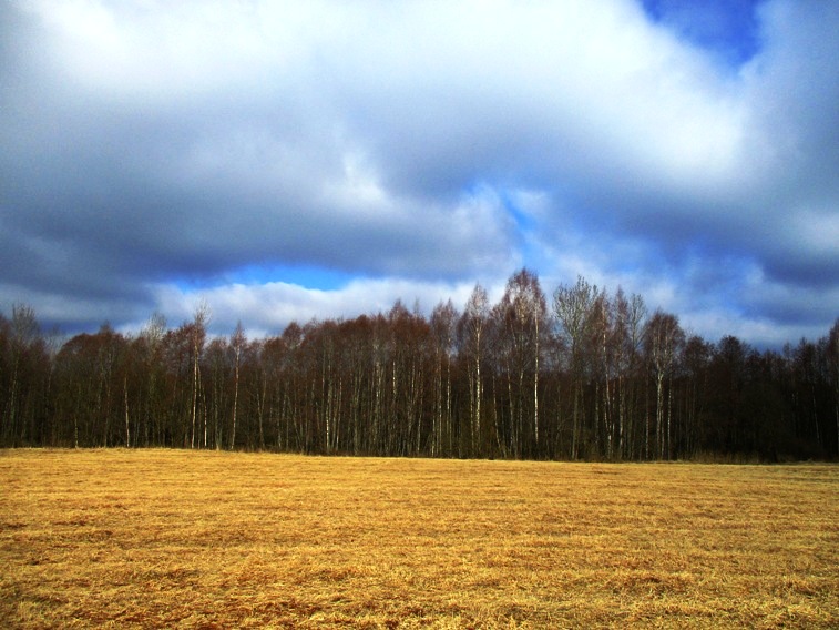 IMG_2299.JPG