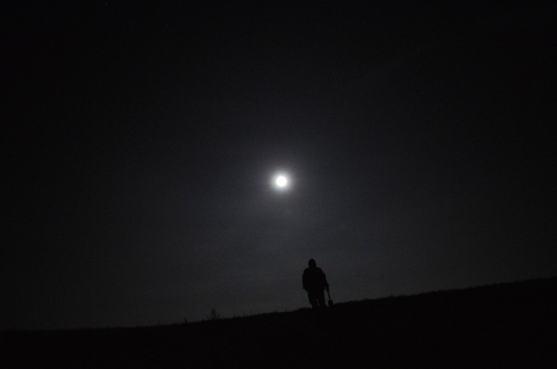 DSC_1146.JPG