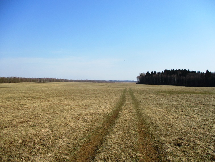 IMG_2358.JPG
