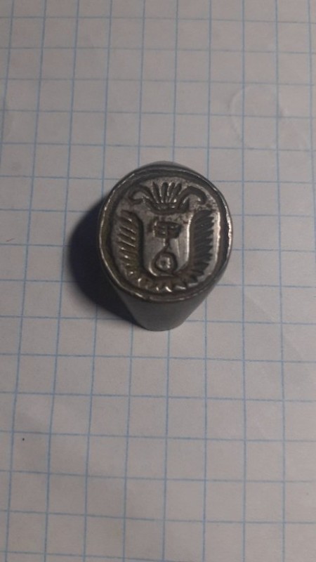 20231029_172537.jpg