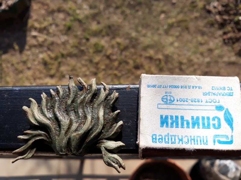 20190406_163815.jpg