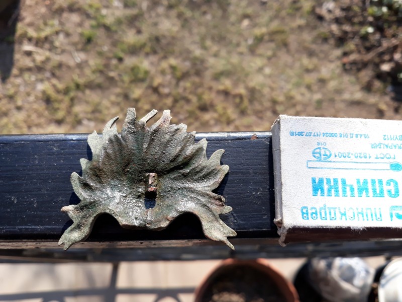 20190406_163850.jpg