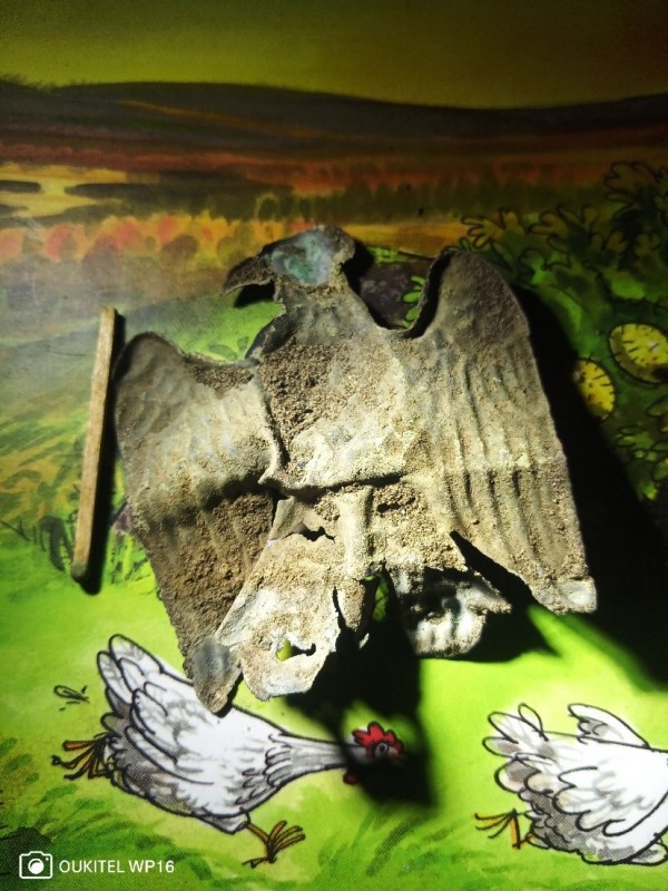 IMG_20240101_201154_325_1.jpg