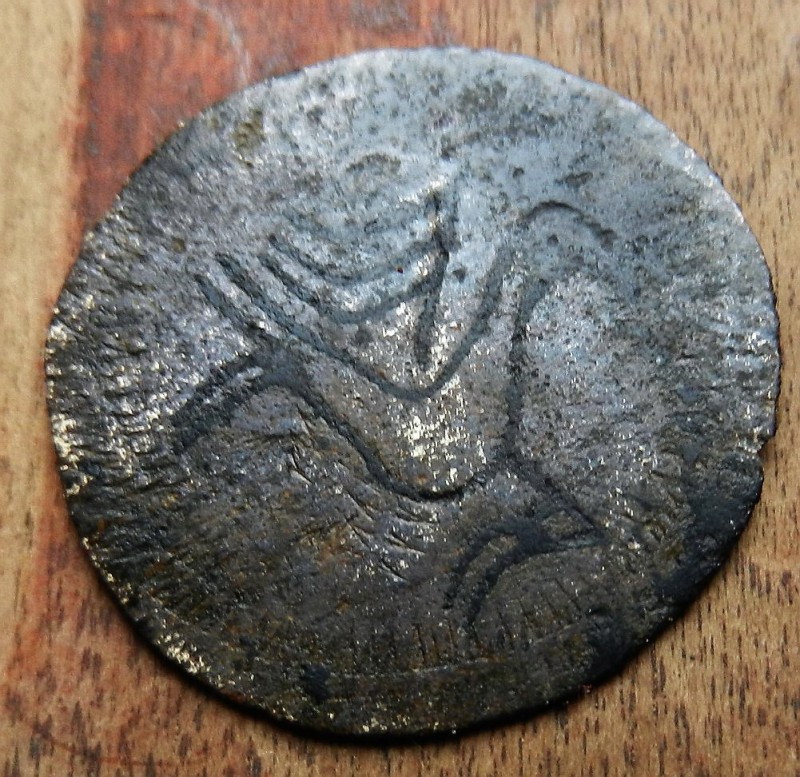 DSCN7629.JPG