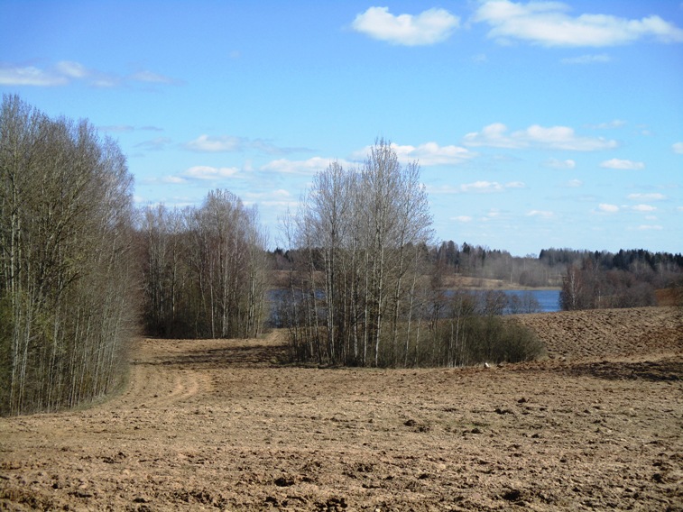 IMG_2509.JPG