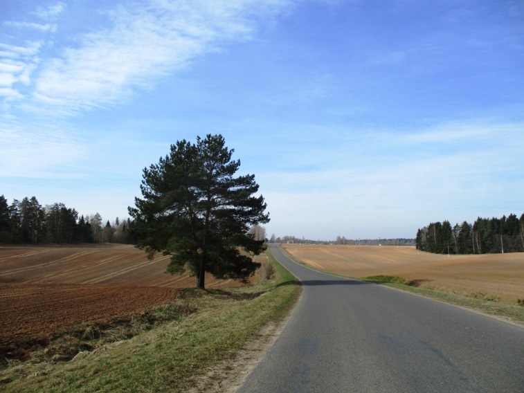 IMG_2585.JPG