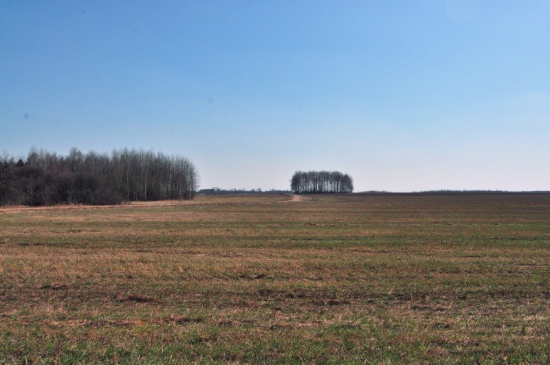 CSC_0293.JPG