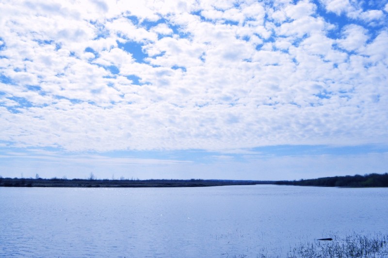 CSC_0320.JPG