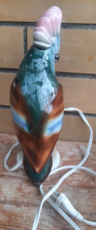 20240409_084900.jpg