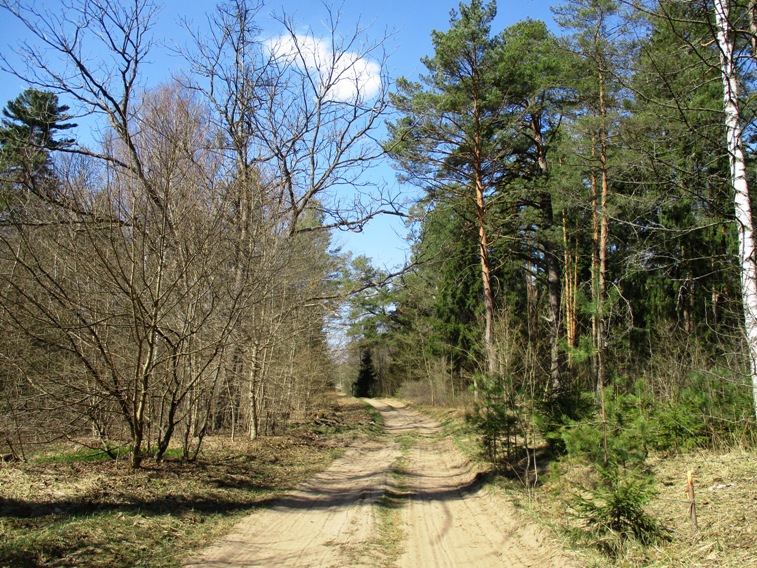 IMG_2683.JPG