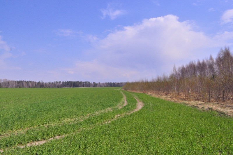 CSC_0337.JPG
