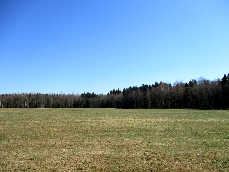 IMG_2677.JPG
