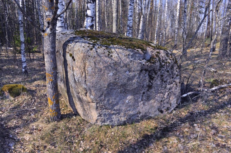 CSC_0407.JPG