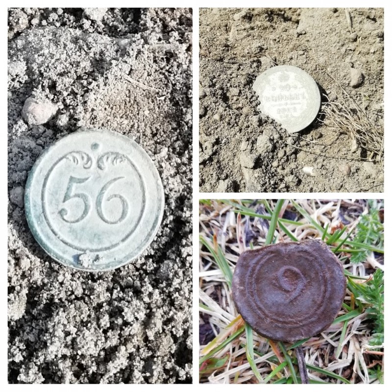 20190426_233847-COLLAGE.jpg
