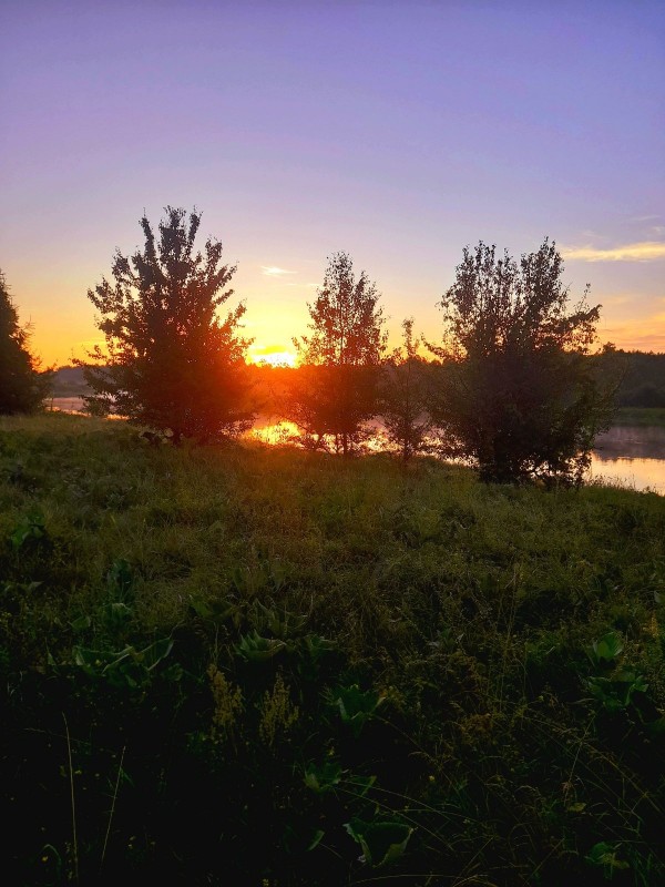 20240714_052725.jpg