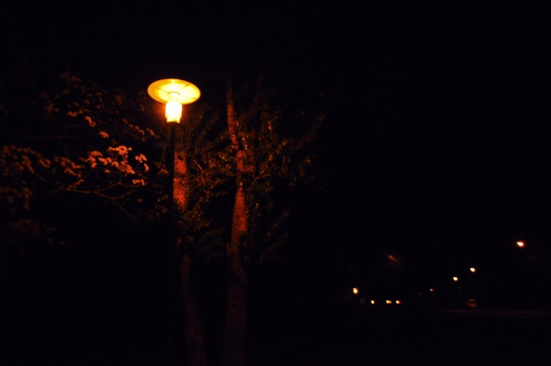 CSC_0490.JPG