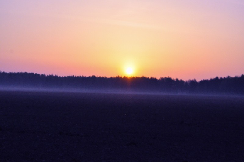 CSC_0496.JPG