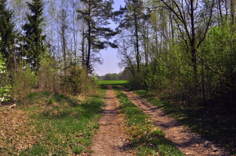 CSC_0501.JPG