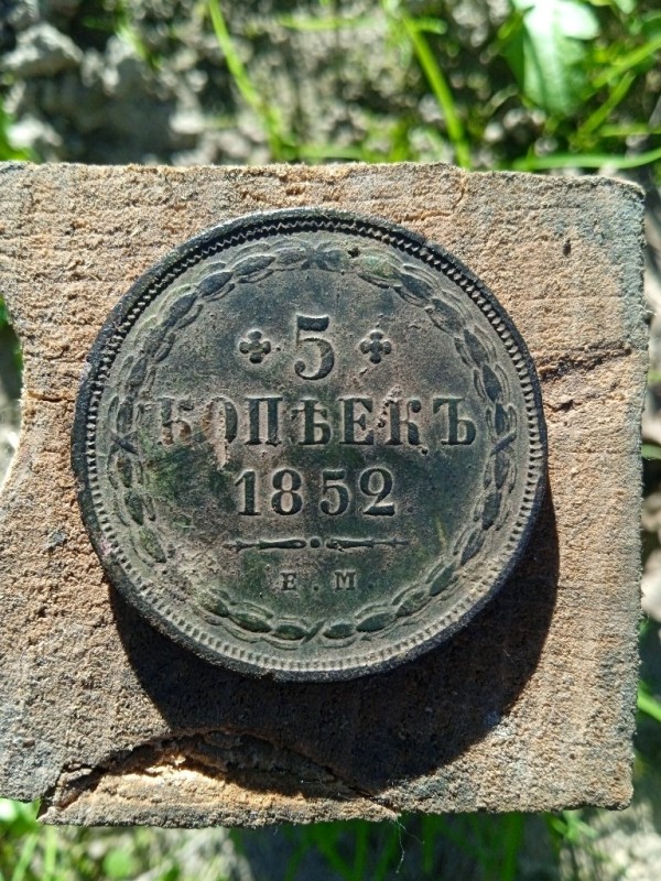 1000000385_768x1024.jpg