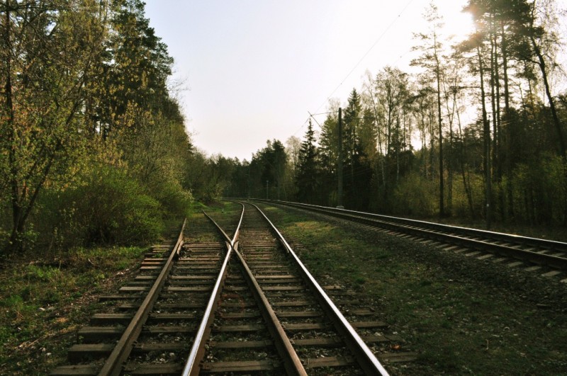 CSC_0430.JPG