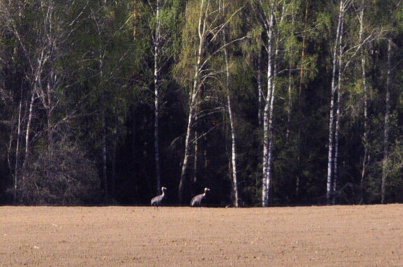 CSC_0495.JPG