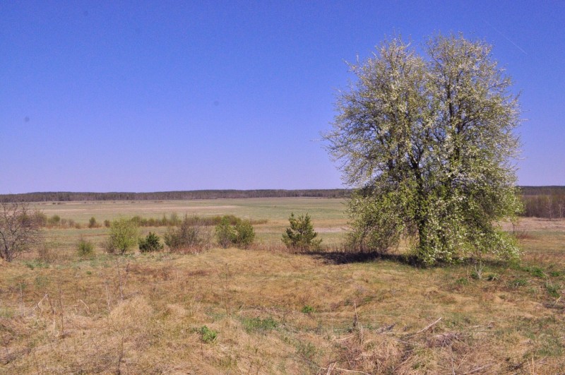 CSC_0500.JPG