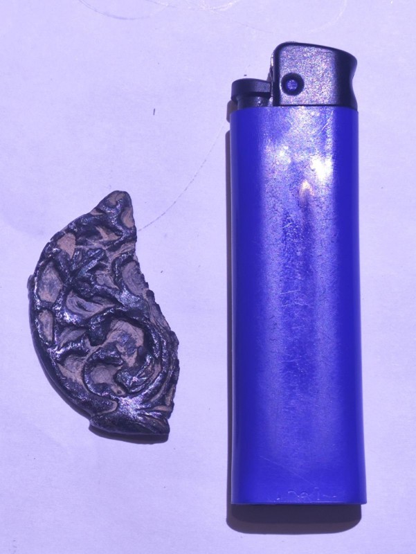 picture1.jpg