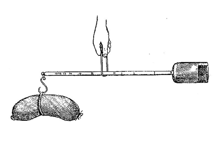scale_720.png