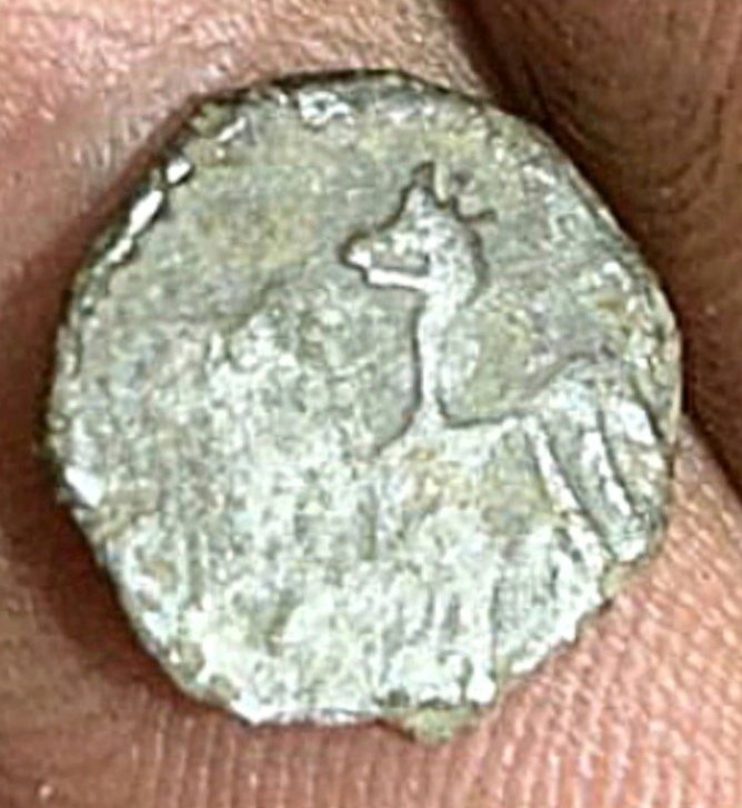 1730804486515.jpg