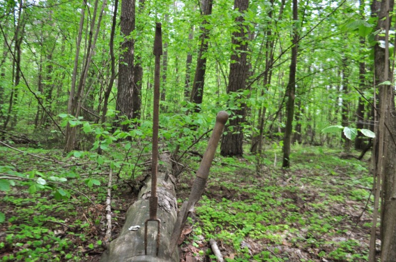 CSC_0545.JPG