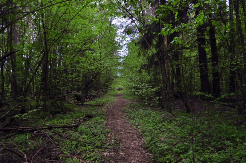 CSC_0549.JPG