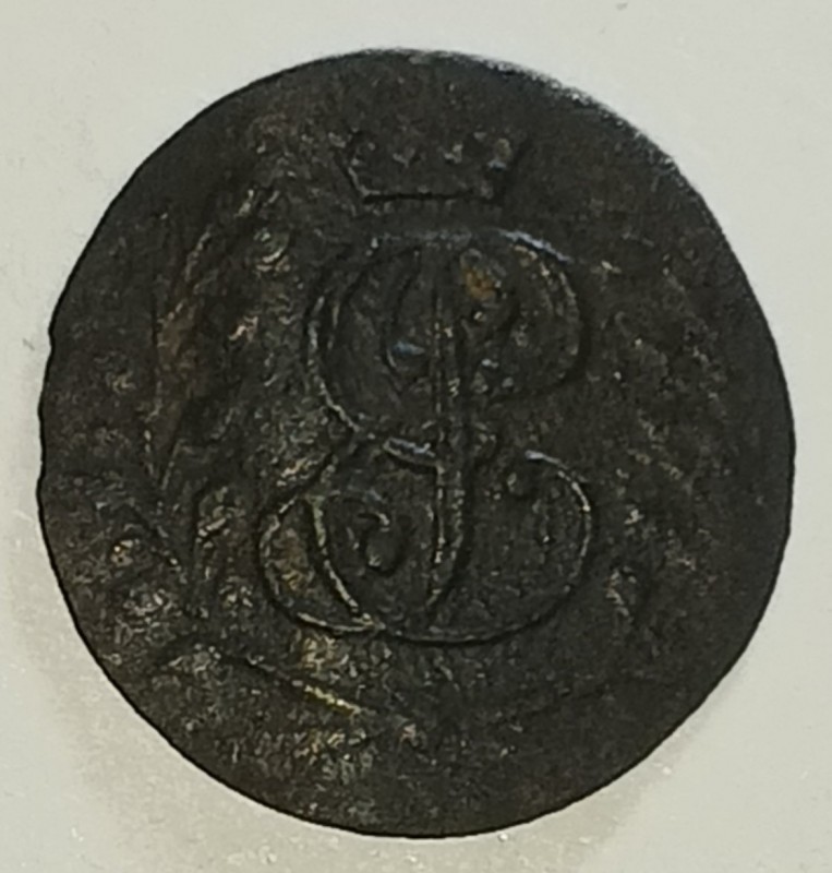 1732104243496.jpg