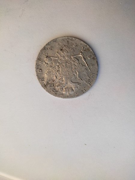 1732509432193.jpg