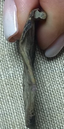 20241219_210330.jpg