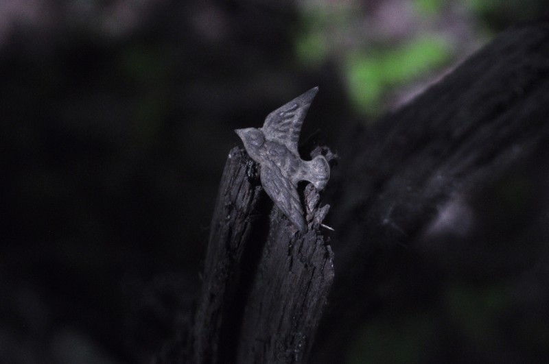 CSC_0620.JPG