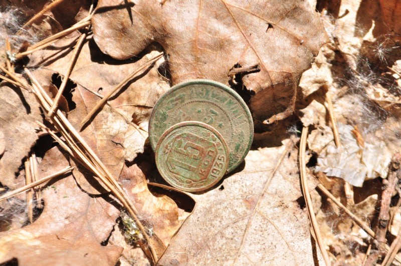 CSC_0622.JPG