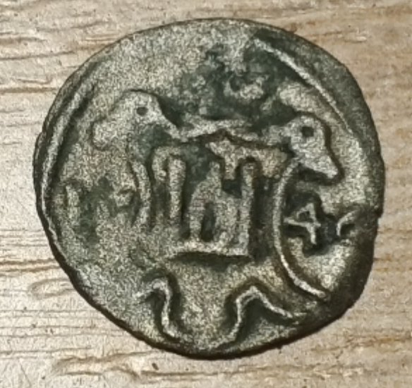 1737976251340.jpg
