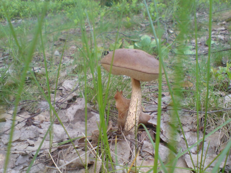 DSC00160.JPG